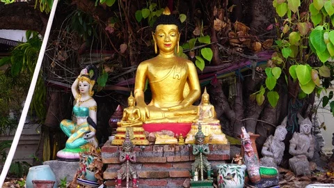The Buddha under the tree Stock Footage 129215131