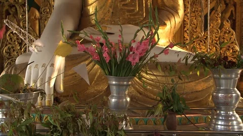 Buddha vertical pan Stock Footage 114984896