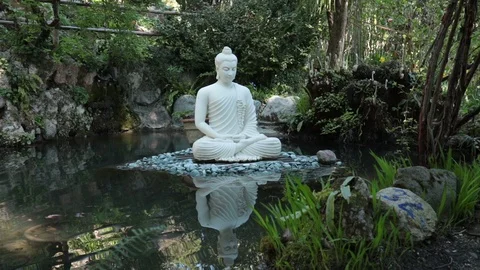 Buddha on the water Stock Footage 108582706