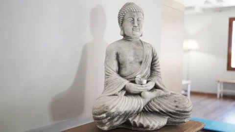 Buddha yoga Stock Footage 89649551