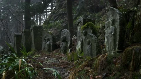 Buddharupa graves at Yamadera temple 库存影片 149967916