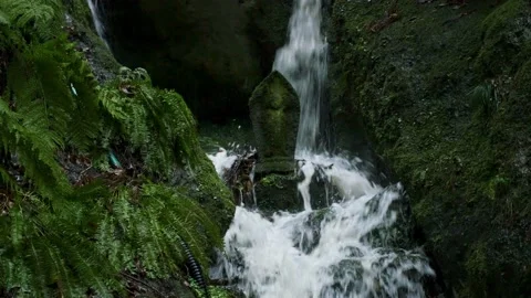 Buddharupa statue surrounded by water Stock Footage 150359108