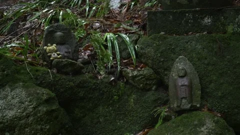 Buddharupa statues 動画素材 150945108
