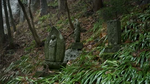 Buddharupa stone statues 動画素材 149968045