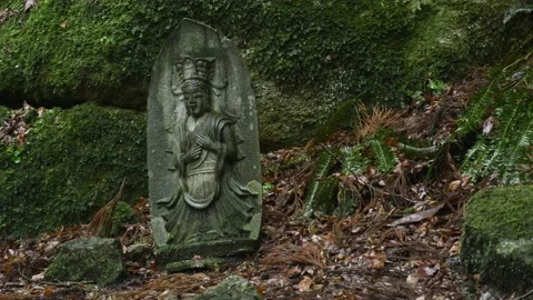 Buddharupa stone statues Stock Footage 150359535