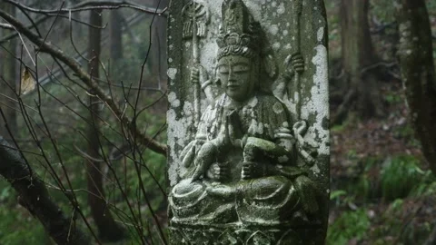 Buddharupa stone statues Stock Footage 150359548