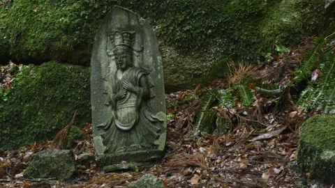 Buddharupa stone statues Video stock 150359663