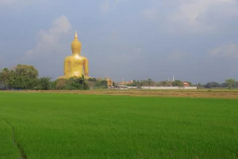 Buddhas and fields of countryside. Stock Photos