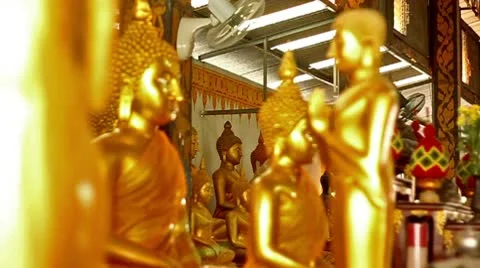 Buddhas 스톡 동영상 9058788