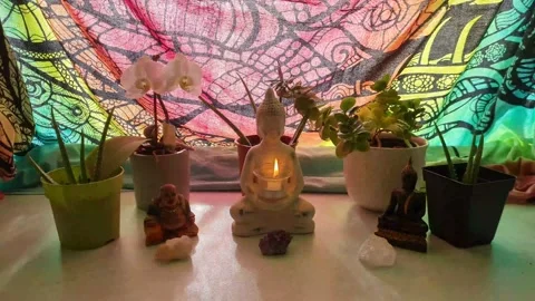 The buddhas 스톡 동영상 229539655