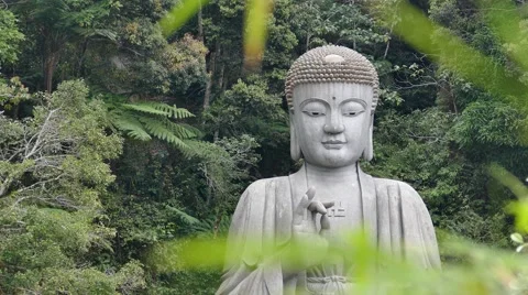 Buddha's Hand Stock Footage 48129725