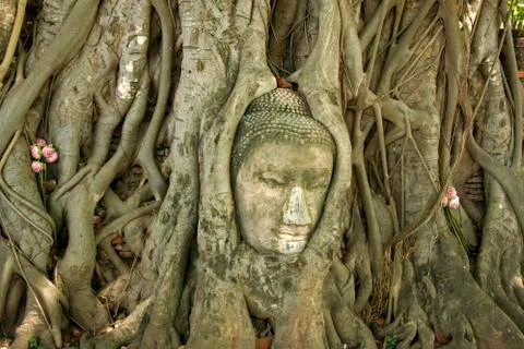 Buddhas head Stock Photos