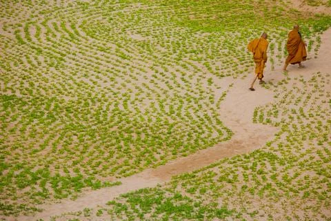 Buddhism monk Stock Photos