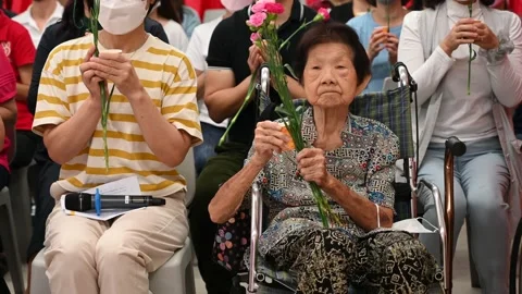 Buddhist class celebration Stock Footage 239594886