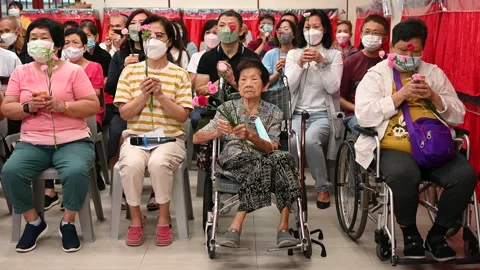 Buddhist class celebration Stock Footage 239595250