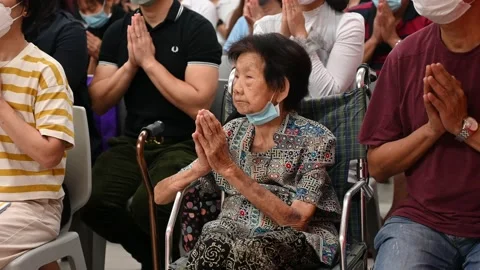 Buddhist class celebration Stock Footage 239595473