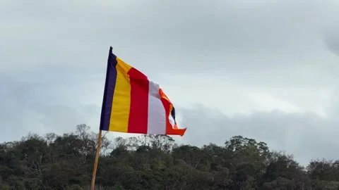 Buddhist flag flutters above a line of trees with a low hill and overcast sky Stock Footage 328024499