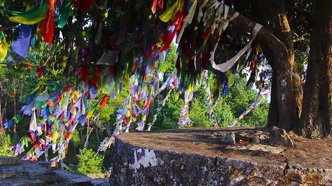 Buddhist flags Stock Footage 71536816