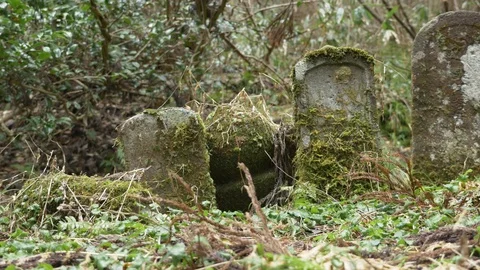 Buddhist graveyard at Mt. Haguro Stock Footage 128283086