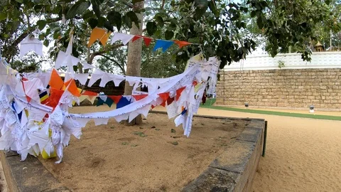 Buddhist hanging flags on the young bodhi tree in the holy old place Jethawana C Stock Footage 111314203