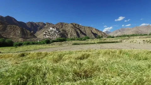 Buddhist Monastery Aerial view Stock Footage 82977021