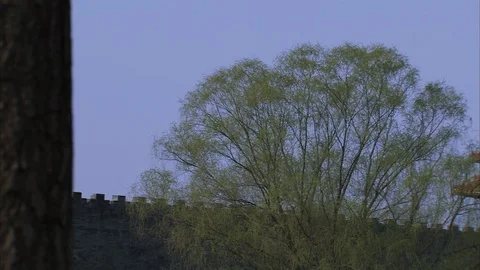 Buddhist Monastery in Beijing Stock Footage 88832530