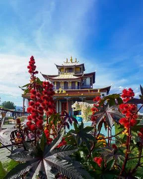 Buddhist monastery temple with tiger statue Stock Photos