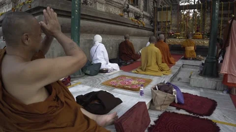 Buddhist monk doing prostrations in front of the bodhi tree, Mahabodhi temple Stock Footage 230018192