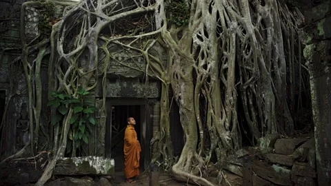 Buddhist monk entering ancient Ta Prohm temple in Cambodia 库存影片 331876771