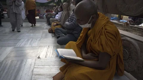 Buddhist monk at Mahabodhi temple complex readying a book Video stock 230018150