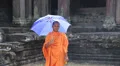 Buddhist monk in orange clothes with blue umbrella in Angkor Thom temple complex HD Footage