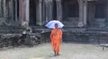 Buddhist monk in orange clothes with blue umbrella in Angkor Thom temple complex HD Footage