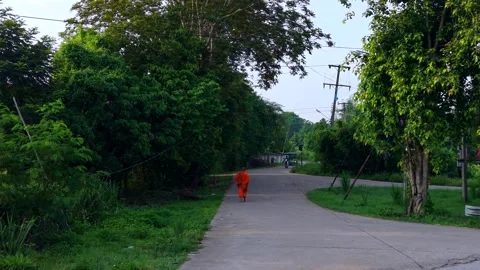 Buddhist monk in orange robe walking on a rural road in Thailand Stock Footage 336297547