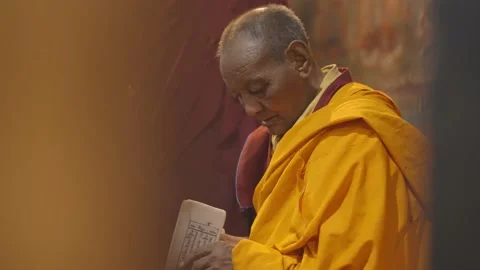 Buddhist Monk Reading Holy Scripture At The Thiksey Monastery In India. Stock Footage 202310408