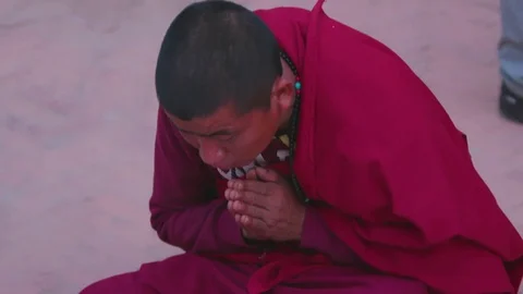 Buddhist monk reading a prayer book Stock Footage 77453694