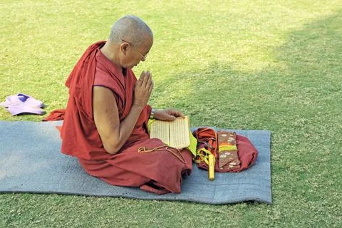 Buddhist monk reading scriptures ; Sanchi ; Madhya Pradesh ; India Copyrig... Stock Photos