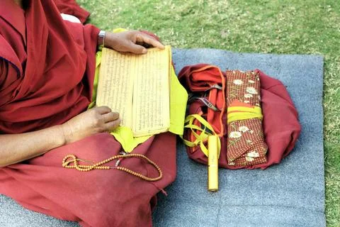 Buddhist monk reading scriptures ; Sanchi ; Madhya Pradesh ; India Copyrig... Foto stock