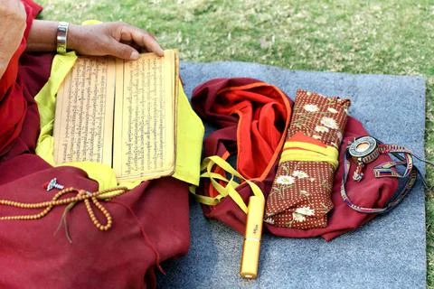 Buddhist monk reading scriptures ; Sanchi ; Madhya Pradesh ; India Copyrig... Foto stock