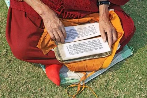 Buddhist monk reading scriptures ; Sanchi ; Madhya Pradesh ; India Copyrig... Stock Photos