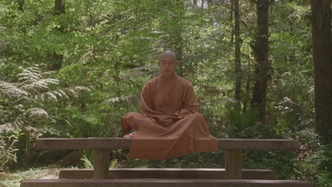 Buddhist Monk Sitting on a Bench in Meditation in Nature During the Day Stock Footage 208805178