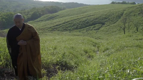 Buddhist monk walking down a grassy hill Stock Footage 340563051