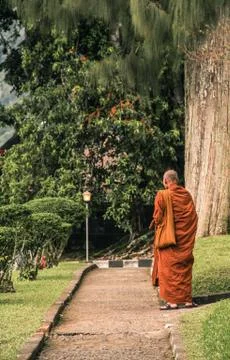 Buddhist monk walking on the forest 写真素材