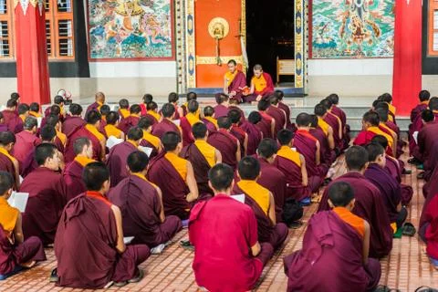 Buddhist Monks Reading Foto stock