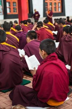 Buddhist Monks Reading Stock Photos