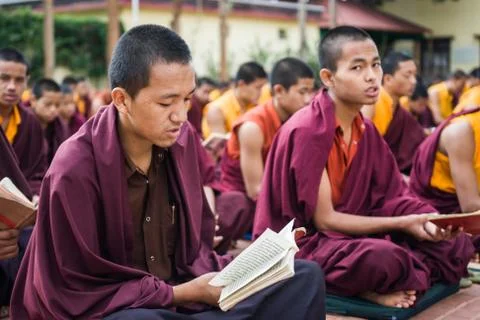 Buddhist Monks Reading Stock Photos