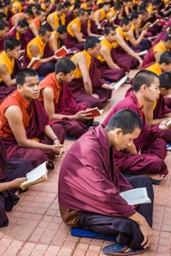 Buddhist Monks Reading Stock Photos