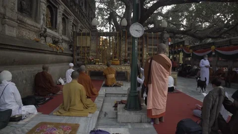 Buddhist monks sitting on the floor in front of the bodhi tree at Mahabodhi Stock Footage 230018189