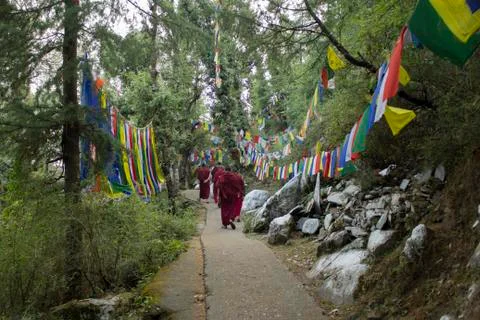 Buddhist monks walking the path in forest Stock Photos