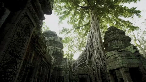 Buddhist monks walking in Ta Prohm temple ruins at Angkor Wat 库存影片 331948576