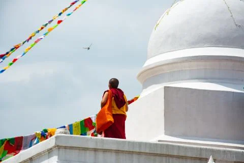 Buddhist Nun Stockfoto's